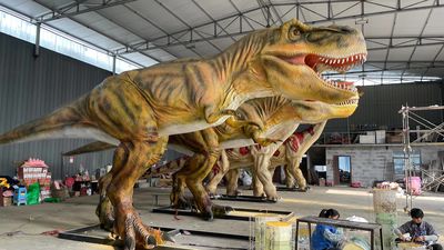 China Zigong Co-Creation Culture & Arts Co., Ltd. Unternehmensprofil