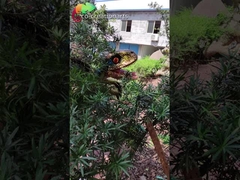 Wasserdichte Dinosaurier-Spielplatzgeräte-Animatronic Dinosaurier-Marionette für Dino Park