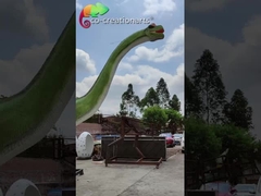 Münzensimulations-lebensgroße Animatronic Dinosaurier 12m Brachiosaurus-Modelle