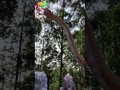 Brachiosaurus Sunproof 15M Giant Animatronic Dinosaur Jurassic Park Animatronic