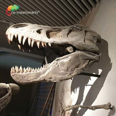 kaufen CER realistische künstlerische Simulation der Dinosaurier-Skelett-Replik T Rex Skeleton Head High online manufacture