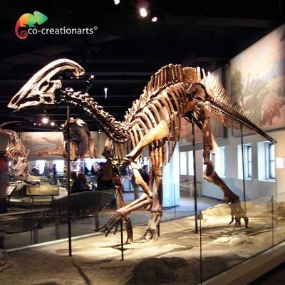 kaufen Imprägnierndes Juraweltreplik Parasaurolophus-Skelett 15 Meter Länge online manufacture