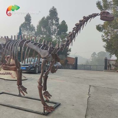 kaufen CER Jurassic Park-Dinosaurier-Skelett-Replik Shunosaurus-Skelettwetter reistance online manufacture