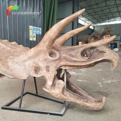 kaufen Dinosaurier-Skelett-Replik ISO wasserabweisende versteinerter lebensgroßer Triceratops-Schädel online manufacture