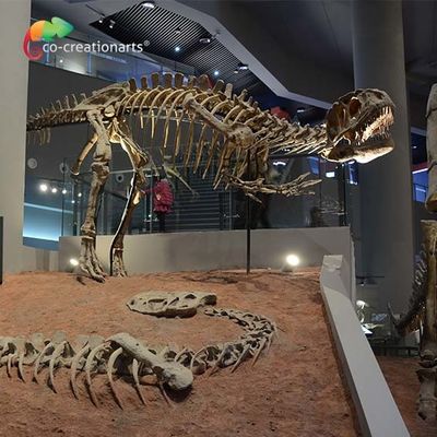kaufen landscape decoration Outdoor Yangchuanosaurus Skeleton Dinosaur Replica Fossil online manufacture