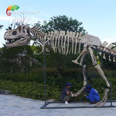 kaufen Länge 15m Museums-Qualitäts-Dinosaurier-Repliken T Rex Skull wasserabweisend online manufacture