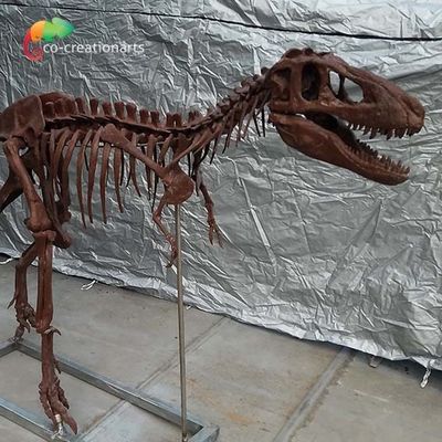 kaufen Personifizierte Kundenbezogenheit Dinosaurier-Knochen-Repliken T Rex Skull Replica online manufacture