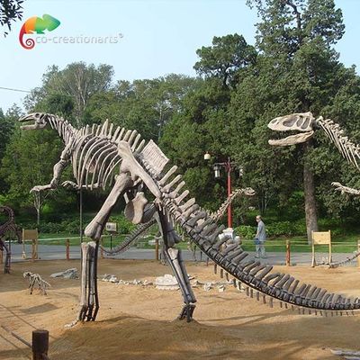 kaufen Fiberglas-Antialtern des lebensgroßen Dinosaurier-Schädel-Replik Hadrosaurus-Skeletts online manufacture