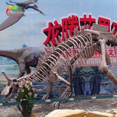 kaufen Park-Dekorations-Dinosaurier-Fossil-Repliken lebensgroßes Tsintaosaurus-Skelett Sunproof online manufacture