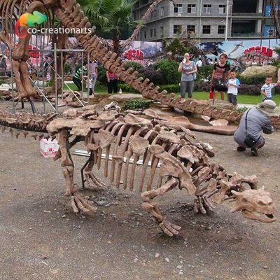 kaufen Park-Dekorations-Dinosaurier-Skelett-Replik lebensgroßes Sunproof online manufacture
