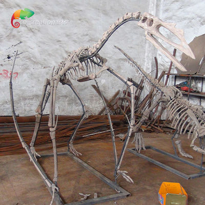 Museums-Ausstellungs-Harz-Dinosaurier-Skelett Quetzalcoatlus-Skelett kundengerecht