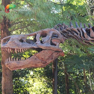 Wetterbeständigkeit T Rex Skeleton Replica