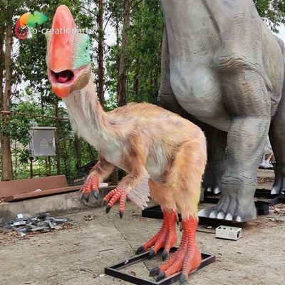 Künstlicher Dinosaurier Sun Oviraptor-Modell-Realistic Animatronic Dinosaurs beständig