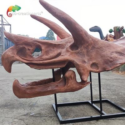 kaufen Juraweltreplik Triceratops-Skelett Sunproof für Museum online manufacture