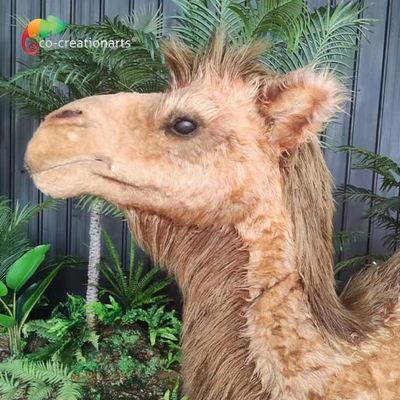 Steuerte künstliche realistische Animatronic Tiere kundengebundenes Größen-Kamel entfernt