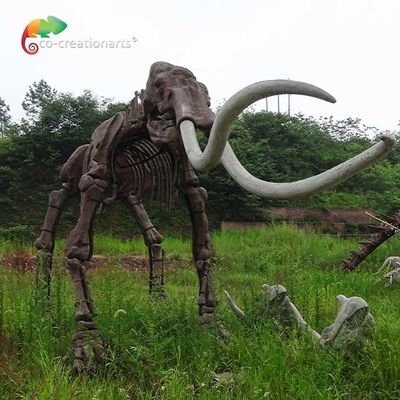 Ein guter Preis. Wetter reistance wirkliche Größen-Replik-Tierskelette Mammuthus-Modell Online