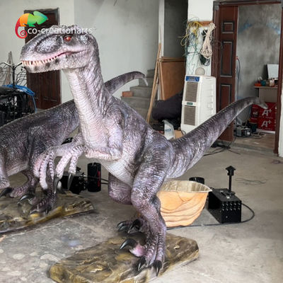 Ein guter Preis. Realistische Schallsteuerungssysteme Animatronische Dinsoaur Simulatio Velociraptor für die Ausstellung Online