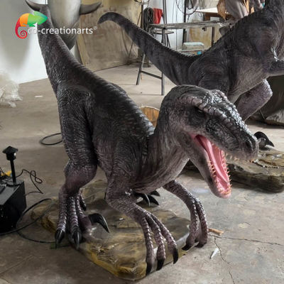 Ein guter Preis. Vergnügungspark Lebensgröße Animatronische Dinosaurier Animatronischer Velociraptor mit realistischer Bewegung und Ton Online