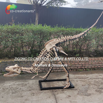 Ein guter Preis. Sehr detaillierte Außendekoration Harz Dinosaurier-Skelett Replik T-Rex-Skelett Online