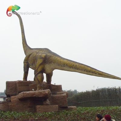 Name