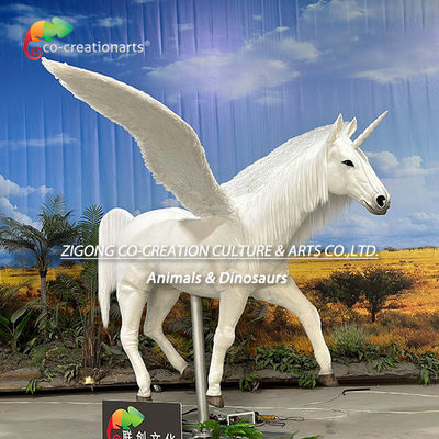 Name